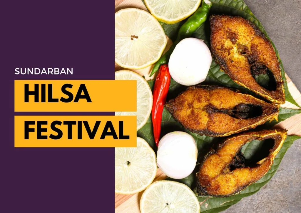 Hilsa Festival Sundarban 2025